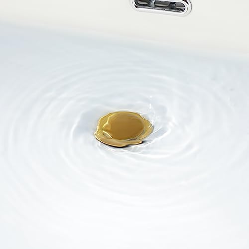 Your Sink Drains Will Thank You