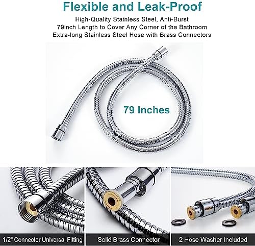 GwernKB Ultimate Handheld Shower Head